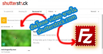 การอัพโหลด video ขายใน shutterstock.com ปี 2019 ด้วยการ ftp