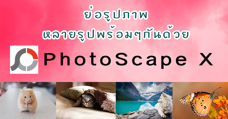วิธีย่อรูปภาพ, resize รูปหลายรูปพร้อมกันด้วยโปรแกรม PhotoScape X