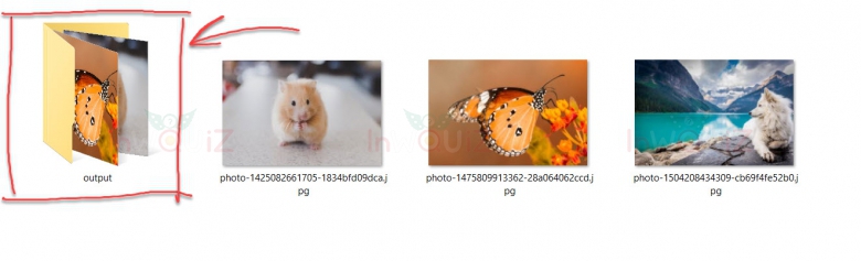 รูปภาพที่ได้จาการย่อขนาดรูปหลายรูปพร้อมกันด้วยPhotoScape X