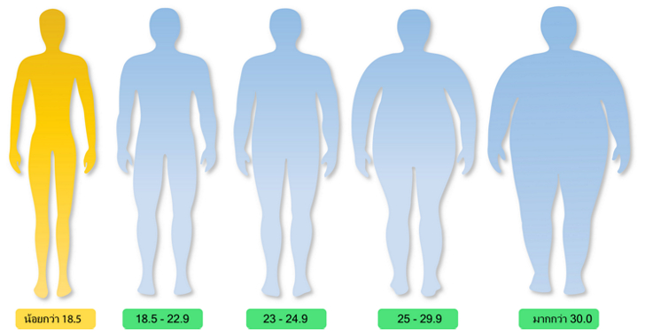 ดัชนีมวลกาย BMI อยู่ในเกณฑ์ผอม หรือน้ำหนักต่ำกว่าเกณฑ์