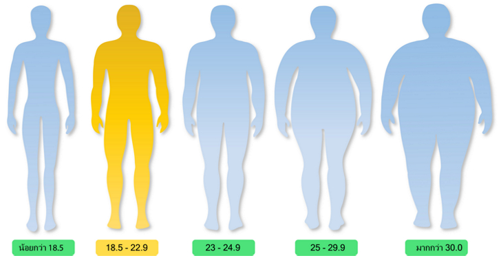 ดัชนีมวลกาย BMI อยู่ในเกณฑ์ปรกติ/ร่างกายสมส่วน