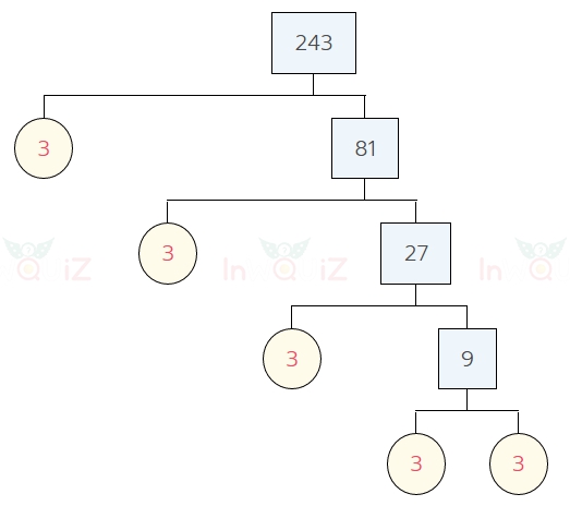 การแยกตัวประกอบของ 243 แผนภาพต้นไม้ของ 243